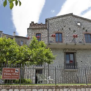 Castelnuovo Parano Holiday House "Pietra Viva" 아파트 Exterior photo