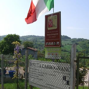 Tenuta Carbognano 겜마노 Exterior photo