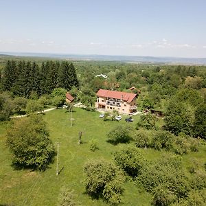 Vistisoara Pensiunea Elena B&B Exterior photo