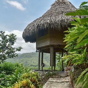 Ecohabs Bosques Del Tayrona 호텔 Calabazo  Exterior photo