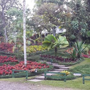 Las Cruces Biological Station 호텔 San Vito Exterior photo