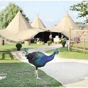 Skipbridge Farm Shepherds Huts Campground 호텔 Green Hammerton Exterior photo