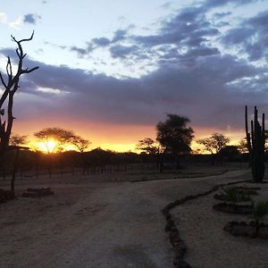 Roidina Safari Lodge 오마루루 Exterior photo