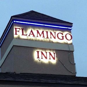 Flamingo Inn 엘크시티 Exterior photo