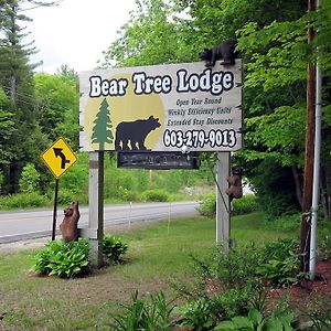 Bear Tree Lodge 메레디스 Exterior photo