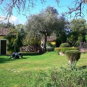 페르푸가스 Agriturismo Nuraghe Putzu Canu 게스트하우스 Exterior photo