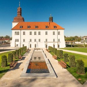 Chateau Clara Futura 호텔 Dolni Brezany Exterior photo