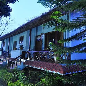 Chitwan Forest Resort 사우라하 Exterior photo