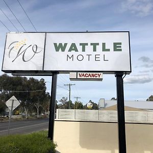 Wattle Motel 시모어 Exterior photo