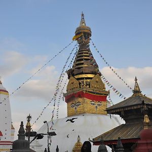 Stupa View Inn 카트만두 Exterior photo