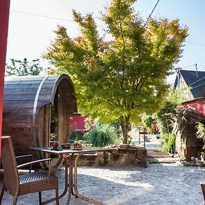 Auberge Au Boeuf 호텔 Sessenheim Exterior photo