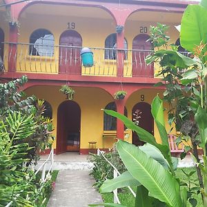 Hospedaje Santo Domingo 호텔 파나하첼 Exterior photo