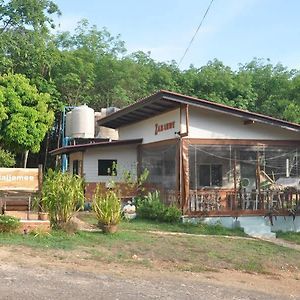 Najjamee Bungalow 호텔 푸껫 Exterior photo