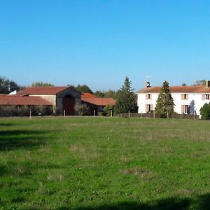 La Pommeraie-sur-Sèvre Domaine De La Sauzaie B&B Exterior photo