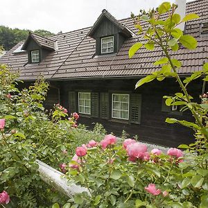 Das Altsteirische Landhaus - La Maison De Pronegg - Feriendomizil Im Biospharenpark Wienerwald 프레스바움 Room photo