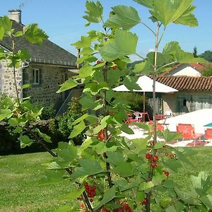 Giou-de-Mamou La Maison Pres D'Aurillac B&B Exterior photo