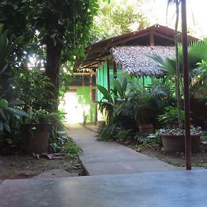 Tambopata Hostel Bambu 푸에르토말도나도 Exterior photo