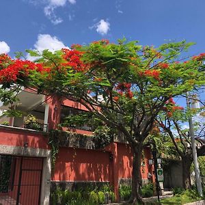 Hotel Arbol De Fuego 산살바도르 Exterior photo