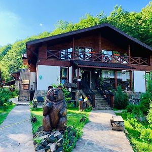 Chalet Vedmezhe 호텔 폴리아나 Exterior photo