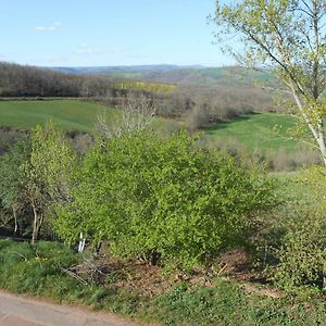 Saint-Izaire Chambre D'Hotes Des Monts B&B Exterior photo