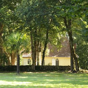 Pouillon La Chapelle Du Chateau Gite 빌라 Exterior photo