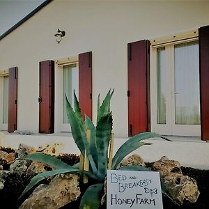 피아촐라 술 브렌타 Agriturismo Honey Farm B&B Exterior photo