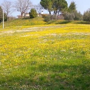 Villaga Paglia E Fieno B&B Exterior photo