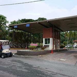 Homestay Bandar Putra 쿨라이 Exterior photo