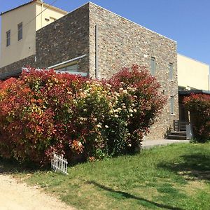 Kalyves Polygyrou Casa Maria-Anneta 빌라 Exterior photo