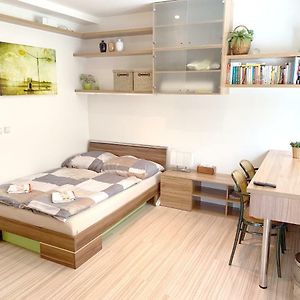 브르노 Krasny Apartman U Lesa, Trolejbus Do Centra A Bvv, Parkovani Zdarma 아파트 Exterior photo