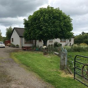 Newton Croft B&B 딩월 Exterior photo