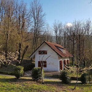 Casa Lalla Natura E Relax 쿠사노 무트리 Exterior photo