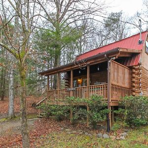 Tuckaleechee Bear Haven 빌라 Exterior photo