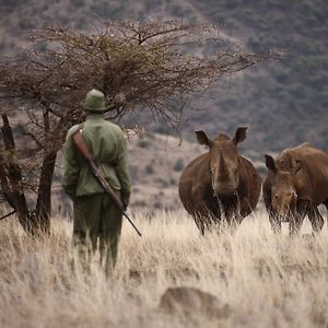 Elewana Lewa Safari Camp 호텔 메루 Exterior photo