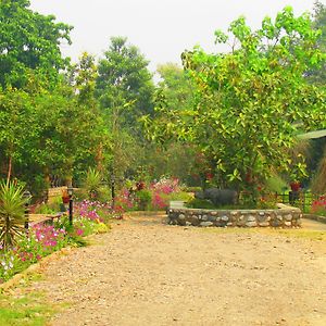 Chitwan Gaida Lodge 사우라하 Exterior photo