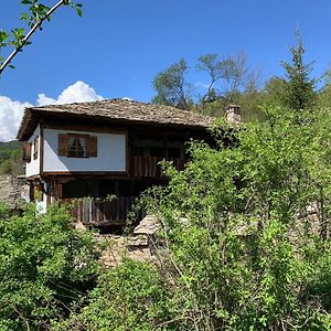 Kovačevica Q.Pova House 빌라 Exterior photo