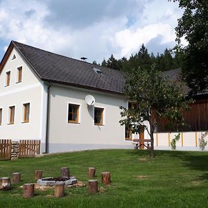 Arbesbach Ferienhaus Buxbaum 빌라 Exterior photo