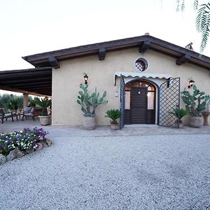 체르베떼리 Casa Degli Ulivi B&B Exterior photo