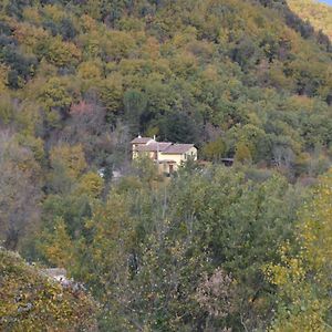 Casa Vacanze - La Casina Di Lalla - Greccio B&B Exterior photo