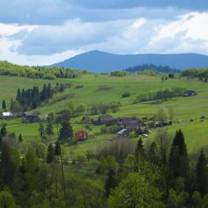 Bukovinka Полонянка 아파트 Exterior photo