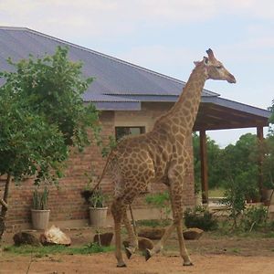 Mkhiweni Villa At Dombeya Wildlife Estate 음바바네 Exterior photo