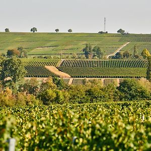 Weingasthaus Wisser 호텔 Billigheim-Ingenheim Exterior photo