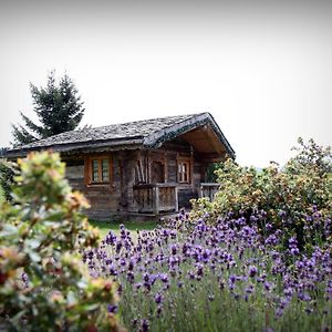 Hotel Le Manoir Des Montagnes 레루스 Exterior photo