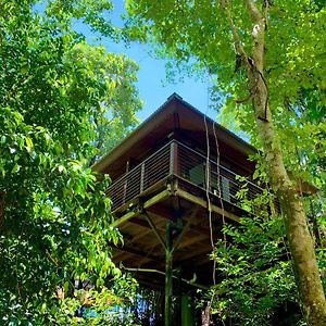 Cairns Rainforest Retreat 호텔 Exterior photo