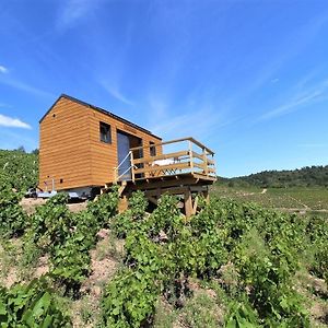 Tiny House Au Coeur Du Vignoble Beaujolais 호텔 플루리 Exterior photo