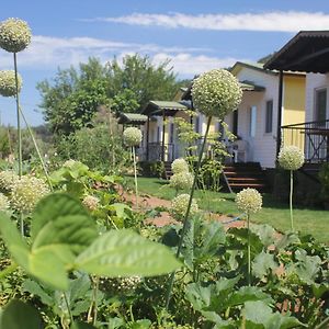 Orhaniye  Guelsuem Hanim Evleri B&B Exterior photo