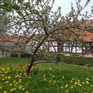 Pension Toepferhof 호텔 바트베르카 Exterior photo