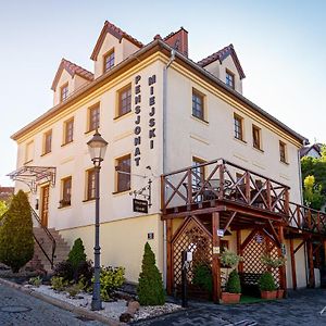 즈고르젤렉 Pensjonat Miejski B&B Exterior photo