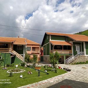 Guest House Vila Banjica 피로트 Exterior photo