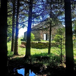 Chaudeyrolles La Ferme Du Crie B&B Exterior photo